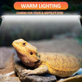 T8 UVB Reptile Light 15W 10.0-2 Pack,UVA UVB Light Bulb for Reptiles,Reptile UVB Lamp Tube for Bearded Dragon