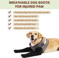 Dog Socks to Prevent Licking Paws ，Breathable Leg Sleeve to Stop Licking and Biting,Firm and Secure Protect Wounds Dog R