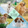 Flea Collar for Dogs, 4 Pack Flea and Tick Prevention for Dogs