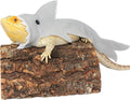 3 Pcs Shark Bearded Dragon Costume Felt Lizard Outfit Halloween Small Animal Clothes Harness for Chameleon Gecko Amphibi