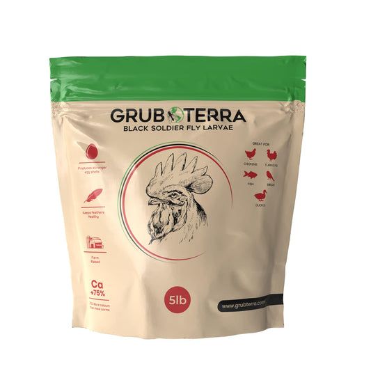 GrubTerra Black Soldier Fly Larvae for Chickens – Dried BSFL Poultry Treat, High Protein Calcium Feed Supplement for Laying Hens, Backyard Chickens, Sourced from Mexico, Not from China - 5LB