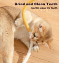 Dgerp Cat Chew Ropes 4Pcs, Cat Toys for Indoor Cats with Refillable Natural Catnip, Safe Teeth Cleaning Chew Toys, Interactive Kitten Nip Toys and All Breeds (19.5 Inches)