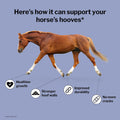 Formula 707 Hoof Health Equine Supplement 5 lb Bag - 80 Servings – Biotin, Amino Acids, and Minerals to Improve and Supp