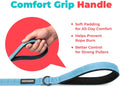 Best Pet Supplies Voyager Nylon Dog Leash - Baby Blue, Small