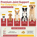 Critical Immune Defense for Dogs & Cats
