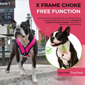 Gooby Comfort X Head-in Dog Harness, Choke-Free, Flamingo Pink, Medium