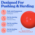Doggie Dooley Virtually Indestructible Dog Ball - 10 Inch