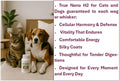 for Cats & Dogs – Advanced Molecular Hydrogen Supplement for Cellular Health, Vitality & Recovery – 120 Capsules