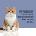 Whole Life Cat Just One Turkey Freeze Dried Cat Treats - 1.2 oz (Pack of 1)
