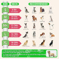Upgraded Inflatable Dog Cone Collar with Transparent Anti-Licking Shield, Adjustable Elizabethan Collar for Medium Large Dogs, 2-in-1 Design with Detachable Shield and Soft Padding (L, Watermelon)