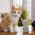 Tsyulog Cat Angel Memorial Figurine, Gray, Resin Sculpture for Cat Lovers, Pet Loss Gift, Hand-Painted