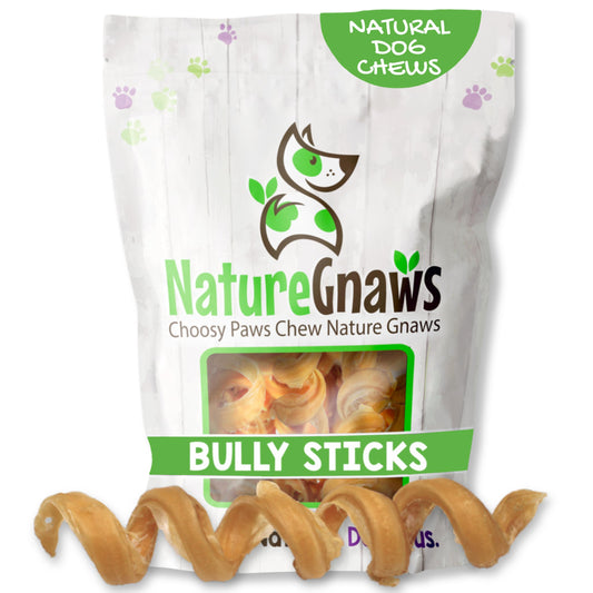 Nature Gnaws Bully Stick Springs for Dogs 7-8" (6 Count) - Long Lasting for Aggressive Chewers - Natural Curly Beef Dog Chew Bones - Rawhide Free