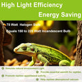 UVB UVA Reptile Light Bulb 75W Bulb for Reptiles and Amphibians Use for Turtle, Bearded Dragon, Lizard Cages Heat Lamp R