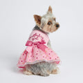 Fitwarm Birthday Girl Dog Tulle Dress, Dog Clothes for Small Dogs Girl, Cat Apparel, Pink