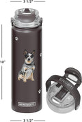 SERENGETI 24 Oz Water Bottle Stainless Steel with Spill Proof Lid - Double walled Vacuum Insulated water flask - Realist