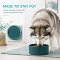 Havniva Ceramic Dog Bowls, 8.3” Dog Food and Water Bowl, Pet Feeding Bowl