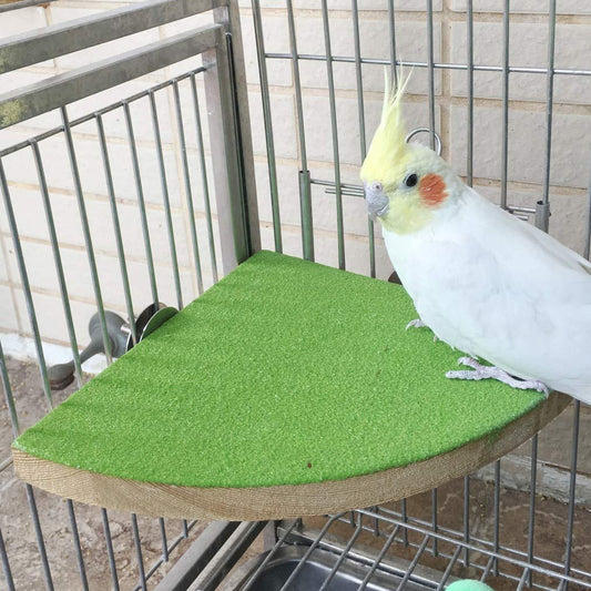 Bird Perch Stand Birdcage Platform for Small Medium Parrot Rat Small Animal (7inch, Green)