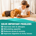 2 Pack Hemp Oil for Dogs & Cats- Helps Pets with Аnxiety, Pаin, Strеss, Аrthritis, Sеizures Rеlief - Organic Pet Неmр Oi