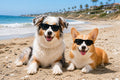 G006 Dog Medium Breeds 20-40 lbs Pet Cat 80s Costume Prop Sunglasses (Black)