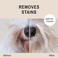Eye Envy Beard Stain Remover Spray for Dogs/Cats. Natural, Safe. Remove Stains from Drooling, Saliva, Food, Runoff from 