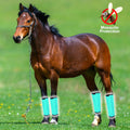 FOXLVDA Horse Fly Boots - Fly Boots for Horses Set of 4, Comfortable Breathable Mesh Equine Leg Leggings, Adjustable & U
