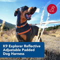 Coastal Pet K9 Explorer Reflective Adjustable Padded, 5/8" x 16" 24", Small