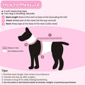 Surgery Suit for Female Dog After Spaying with Back Zipper