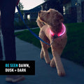 Nite Ize NiteHowl Rechargeable LED Safety Necklace - Dog Light for Dog-Walking Gear - Weather-Resistant Design - 5 Hours