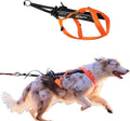 Non-stop dogwear Freemotion Harness 5.0 Dog Pulling Harness for Sports Like Running, Biking and Skiing with Dogs, Profes