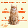 Wellix Lickable Cat Treats Salmon Oil & Chicken Flavor Cat Snacks (24 Tube)
