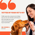 Pet Honesty Vet Recommended Hip and Joint Supplement for Dogs, 90 Count