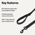 Amazon Basics Dog Leash, 6ft with 2 Comfortable Dual Padded Handles for Traffic Control, Highly Reflective Leashes for Large & Medium Dogs, Night Safety, Easy Snap Hook, Black