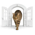 BLANRICO Cat Door for Interior Doors, French Arched Pet Door with Double Flaps and Lock Easy Install for Cats Small Dogs (9.45×10.75 inch)