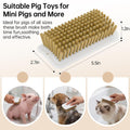 2Pcs Pig Enrichment Toys, Mini Pig Self Cleaning Brushes with Anti Slip Grip & Dual Hanging Holes, Encourages Natural Be