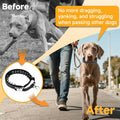Mayerzon Prong Collar for Dogs, Pinch Collar with Alloy Buckle | Black, L