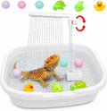 Adjustable Water Flow Bearded Dragon Shower with 3 Floating Toys & 3 Colorful Balls, Reptile Shower Kit, Bearded Dragon 
