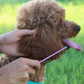 ROPO Dog Comb for Removing Matted Fur - Pet Dematting Comb with Rounded Teeth and Non-Slip Grip Handle - Prevents Knots 