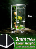 Escape-Proof One-Piece Jumping Spider Enclosure Accessories, Terrarium Kit