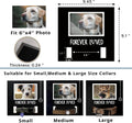 MYPAWLETS Dog/Cat Collar Memorial Frame with Paw Print Charm,Pet Loss Sympathy Gift,Pets Memorial Gift for Loss of Dog,Forever Loved Pet Keepsake Frame,Dogs Passing Away Gifts