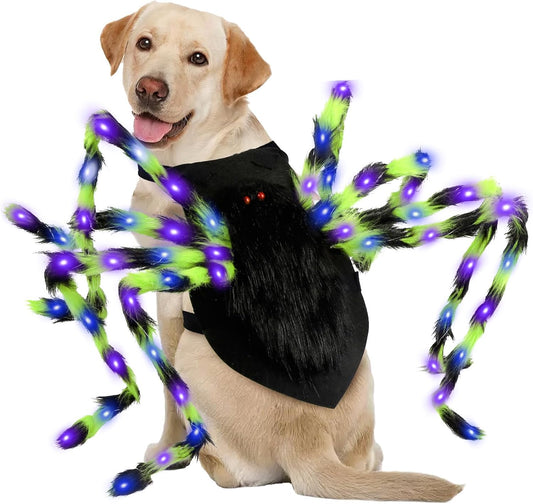 Halloween Spider Dog Costume with 64 Led for Medium Large Dog Pet Cosplay
