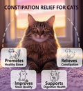 PuPulse Cat Constipation Relief, Constipation Relief for Cat, Cat Laxative Constipation Relief, 100% Natural Cat Laxative with Probiotics Cat Stool Softener, Promotes Digestive Health - 2 fl oz