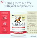 Actistatin Equine Powder - Horse Joint Supplement - 90 Day Supply