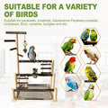 Parrot Playstand Bird Playground