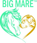 Big Mare Horse Skin & Wound Care Spray, 32 oz | Antibacterial & Antifungal No-Sting Equine Formula for Scratches, Rain R