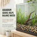 NUPICK 6 lb Aquarium Gravel, 1/4" Ph-Natural Pea Gravel for Fish Tank