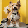 JJUNW 4 Pcs Mini Dog Collar Bells, Cat Bell, Silver Pet Pendant Accessories for Training, Loud Charms for Dogs and Cats