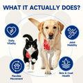 Taurine for Cats & Dogs Liquid Drops with L-Carnitine, CoQ10, Omega-3