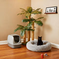 LEMONDA 31.5Inch Cat Scratching Post,Cat Scratcher Tree with 3 Scratching Poles & 2 Interactive Dangling Balls,Cats Scratching Posts for Indoor Kitten & Adult Cats