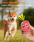SCHITEC Squeaky Dog Toys, [6 Pack] Soft Stuffed Plush Balls with Squeakers, Interactive Fetch Play for Puppy Small Pets