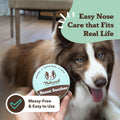 Natural Dog Company Snout Soother Dog Nose Balm – 1 oz Tin